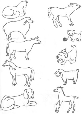 Домашние животные задания для дошкольников