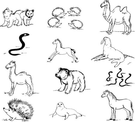 Дикие животные задания для дошкольников