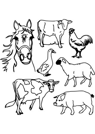 Раскраска сельскохозяйственные животные