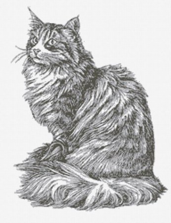 Кот в графике