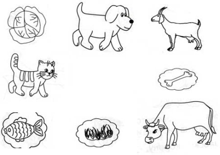 Домашние животные задания для дошкольников
