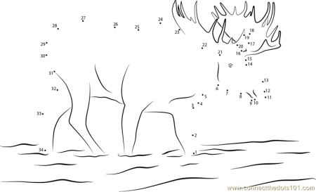 Соединить по точкам животное