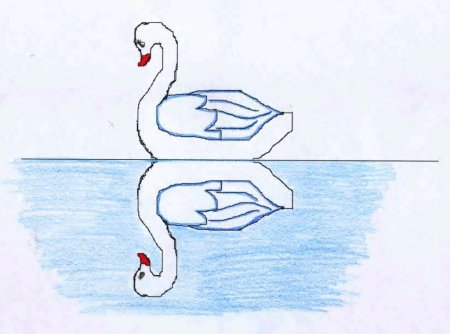 Симметрия лебеди