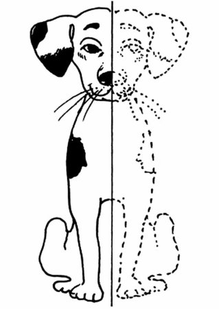 Раскраски для детей животные двойные