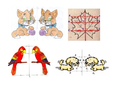 Осевая симметрия рисунки