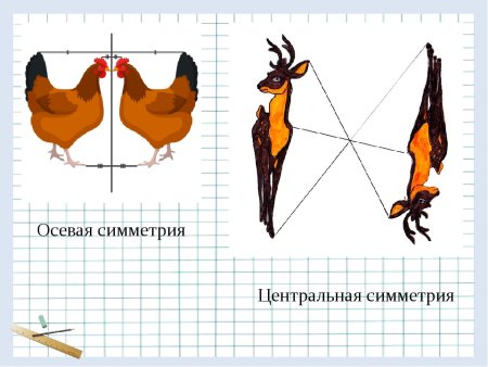 Симметрия и асимметрия в природе