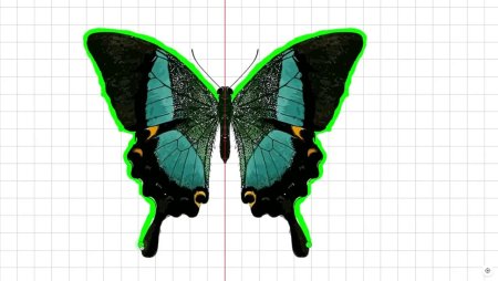 Зеркальная симметрия в природе