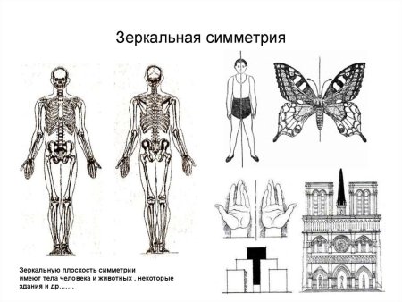 Осевая симметрия