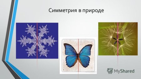 6 Симметричных фигур