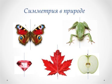 Осевая симметрия примеры