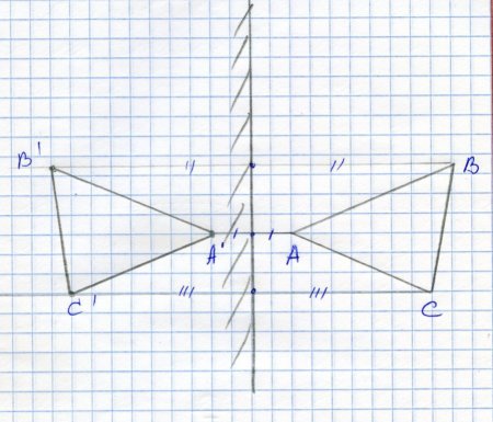 Осевая симметрия в природе