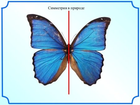 Симметричные рисунки