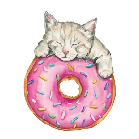 Котенок пончик