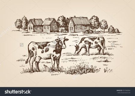 Зарисовки животных в деревне