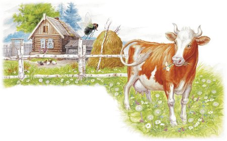 Бианки хвосты иллюстрации