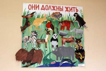 Плакат помощь животным