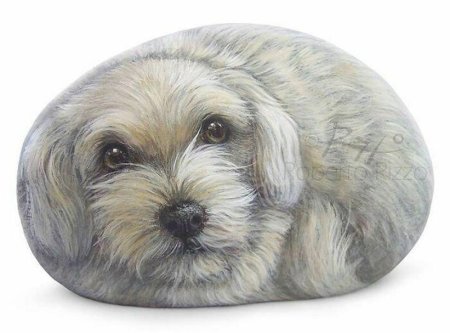 Роспись камней собака