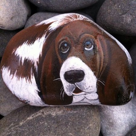 Животные на камушках