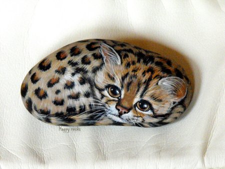 Кошки на гальке