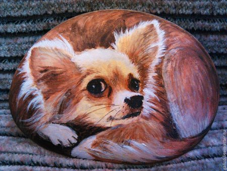 Котики на камнях