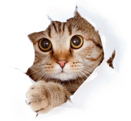 Коврик для мыши Defender Silk