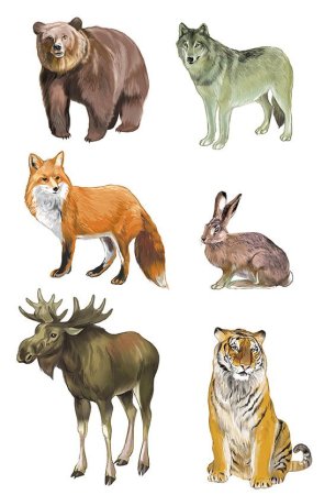 Карточки "Дикие животные"