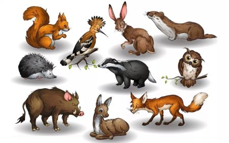 Рисунки лесных животный