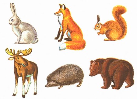 Дикие животные для детского сада