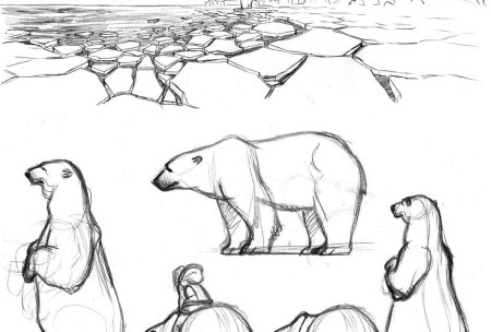 Белый медведь сбоку рисунок