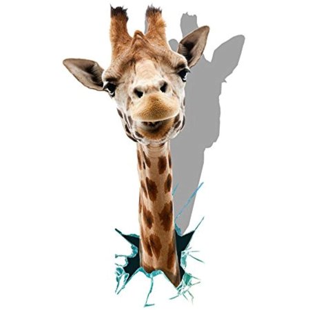 Постер животные