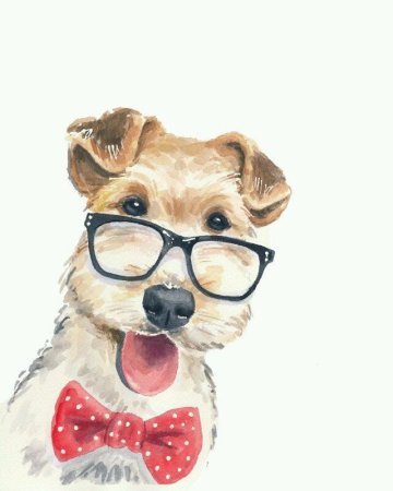 Смешные собаки акварелью