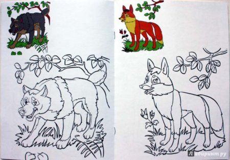 Раскраска Лесные животные