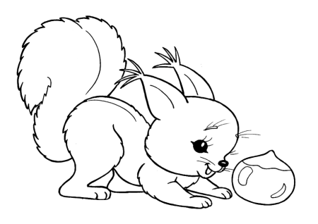 Раскраски. Животные