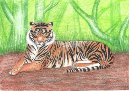 Тигр разрисованный