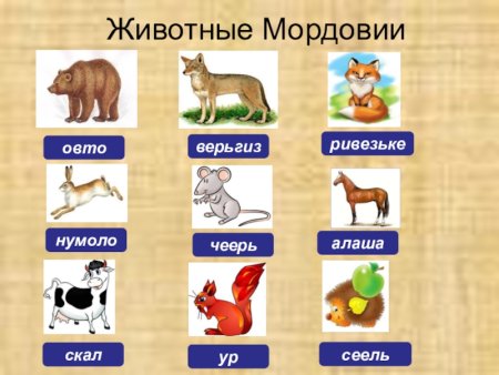 Детские рисунки на тему лес наше богатство