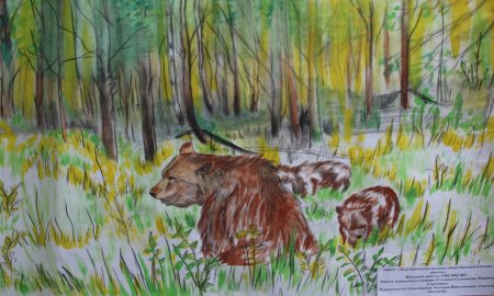 Саранск заповедники рассказ