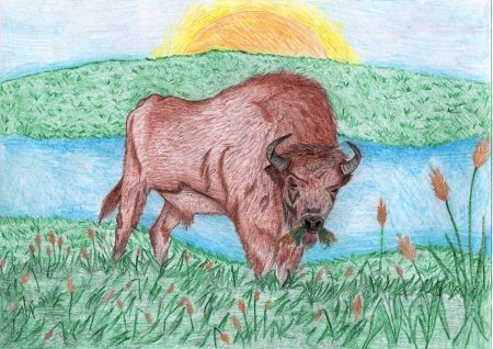 Животные и растения из красной книги Республики Мордовия