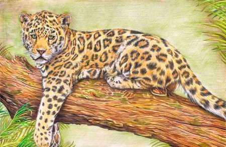 Дальневосточный Амурский леопард рисунок