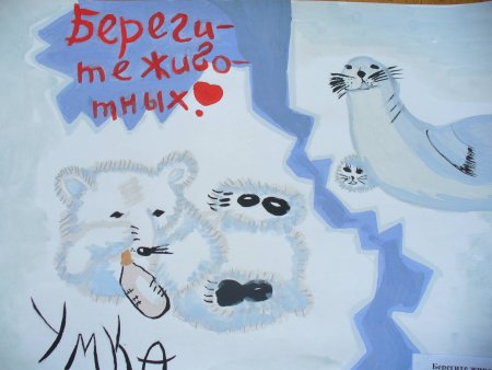 Плакат берегите животных