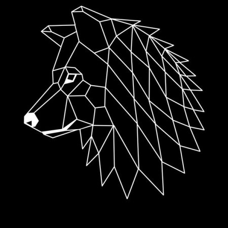 Волк геометрия