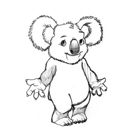 Коала раскраска маленькая