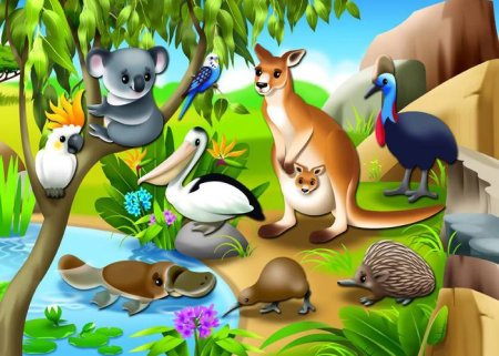 Животные Австралии для детей