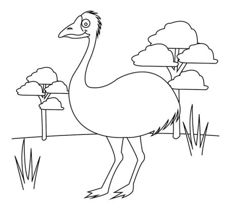 Животные Австралии раскраска