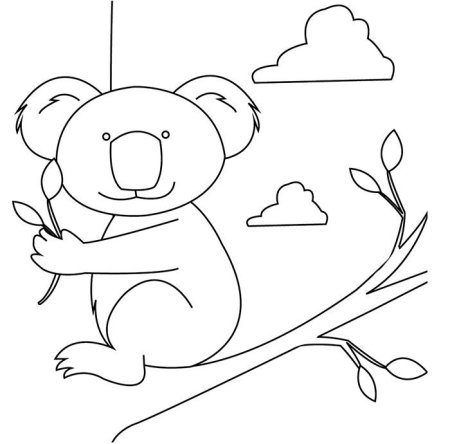Раскраски животные Австралии для дошкольников