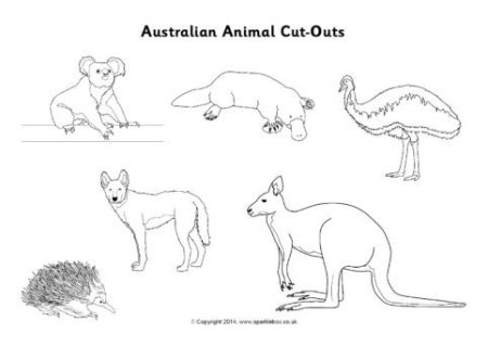 Животные Австралии шаблоны для аппликации