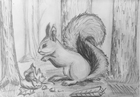 Рисунки карандашом природа