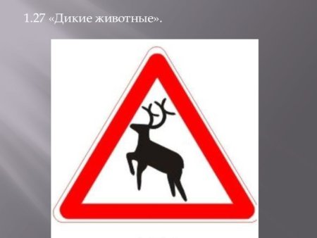 Знак 1.27 Дикие животные