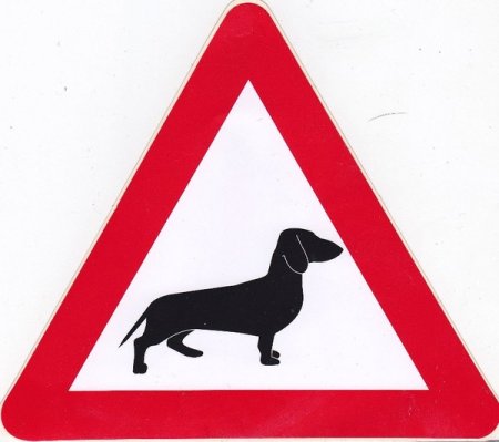 Дорожный знак осторожно животные