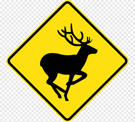 Знак осторожно олени