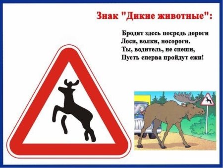 Дорожные знаки с животными